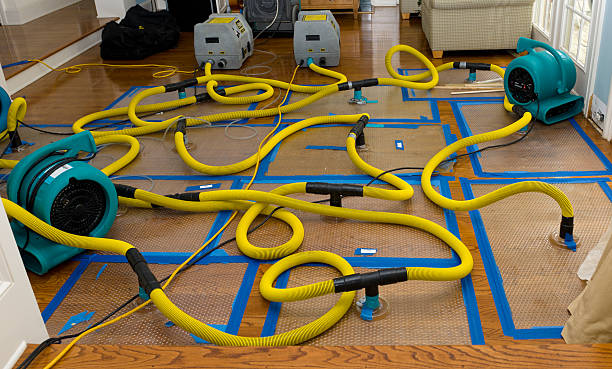 Professional Water Damage Repair technician working in Frost, TX