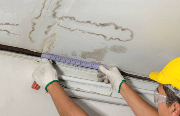 Affordable Water Damage Repair solutions in Frost, TX